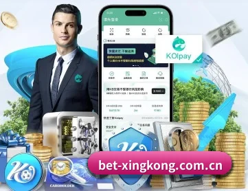 星空官方网站 APP 深度功能